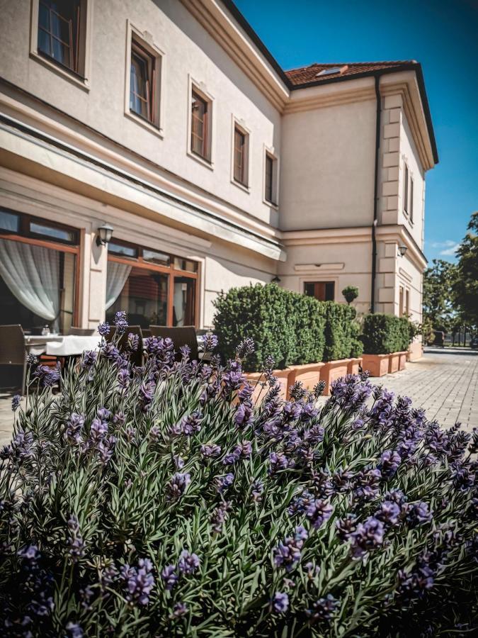 Restaurant Pansion Wien Cierny Brod Extérieur photo